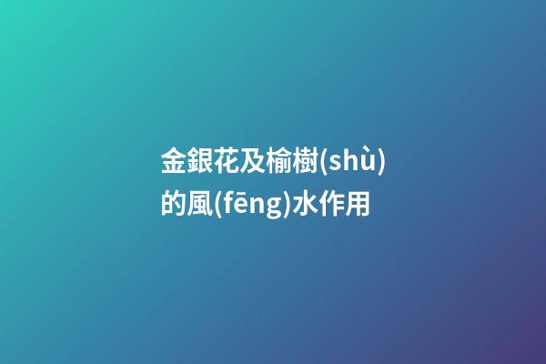 金銀花及榆樹(shù)的風(fēng)水作用