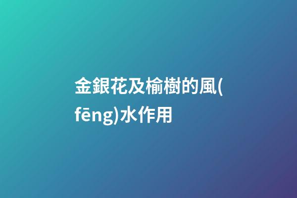 金銀花及榆樹的風(fēng)水作用