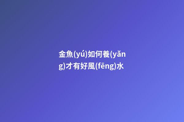 金魚(yú)如何養(yǎng)才有好風(fēng)水