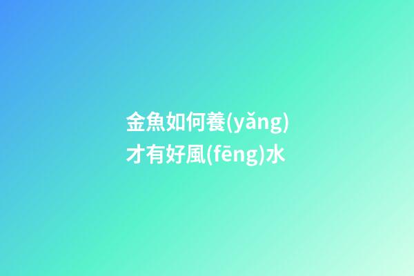 金魚如何養(yǎng)才有好風(fēng)水