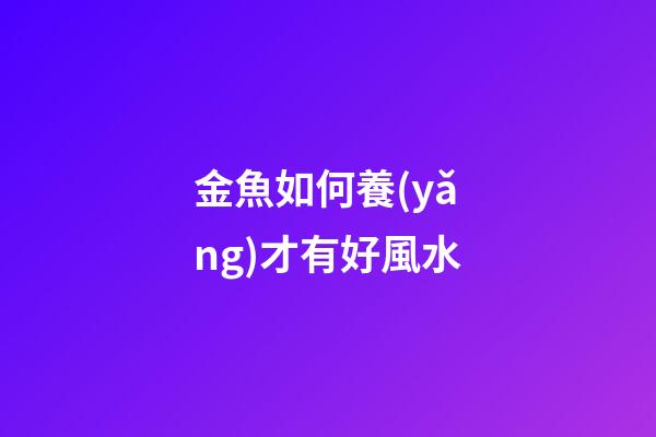 金魚如何養(yǎng)才有好風水
