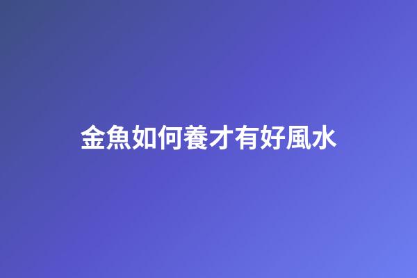 金魚如何養才有好風水