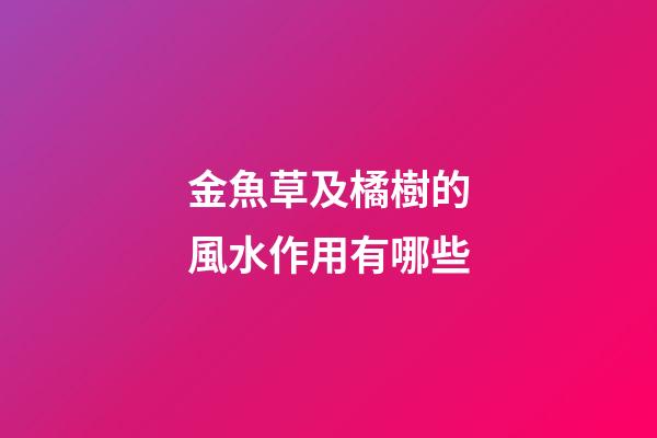 金魚草及橘樹的風水作用有哪些?