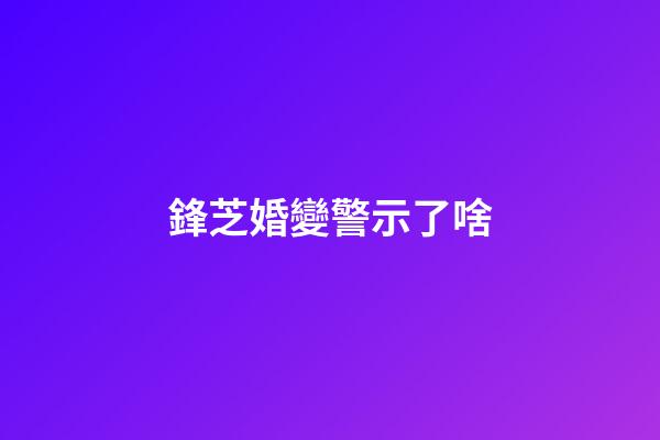 鋒芝婚變警示了啥