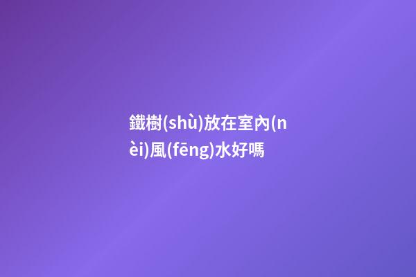 鐵樹(shù)放在室內(nèi)風(fēng)水好嗎