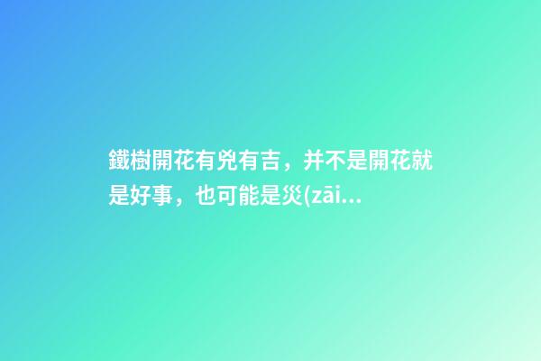 鐵樹開花有兇有吉，并不是開花就是好事，也可能是災(zāi)難來臨