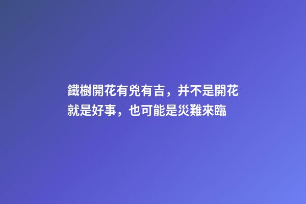 鐵樹開花有兇有吉，并不是開花就是好事，也可能是災難來臨