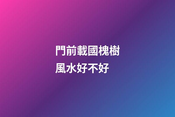 門前載國槐樹風水好不好