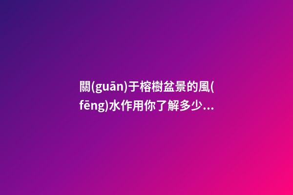關(guān)于榕樹盆景的風(fēng)水作用你了解多少？