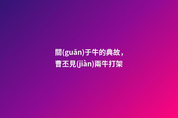 關(guān)于牛的典故，曹丕見(jiàn)兩牛打架-第1張-觀點(diǎn)-玄機(jī)派