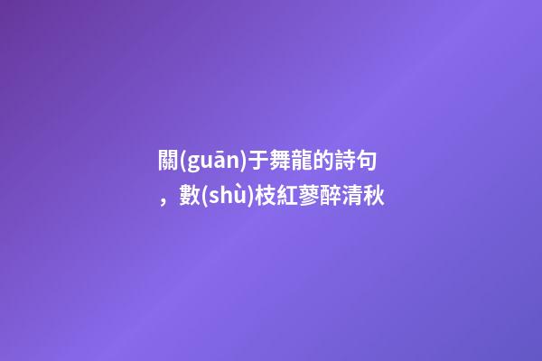 關(guān)于舞龍的詩句，數(shù)枝紅蓼醉清秋-第1張-觀點-玄機派
