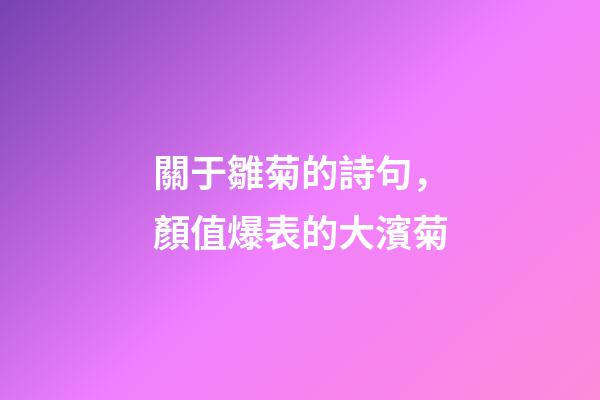 關于雛菊的詩句，顏值爆表的大濱菊-第1張-觀點-玄機派