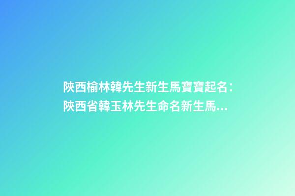 陜西榆林韓先生新生馬寶寶起名：陜西省韓玉林先生命名新生馬寶寶-第1張-公司起名-玄機派