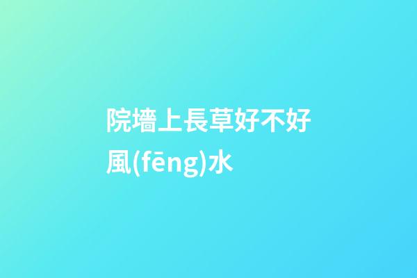院墻上長草好不好風(fēng)水