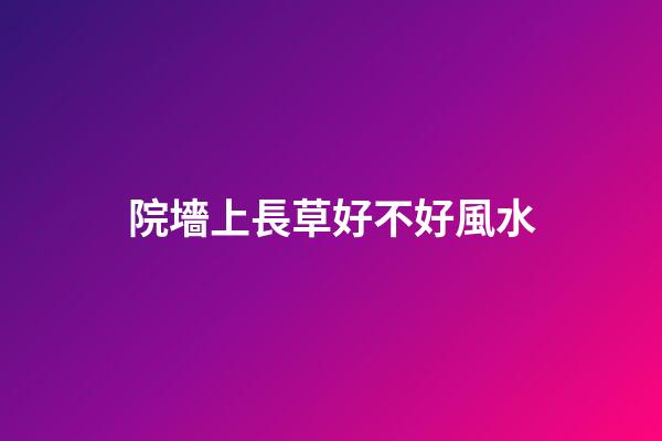 院墻上長草好不好風水