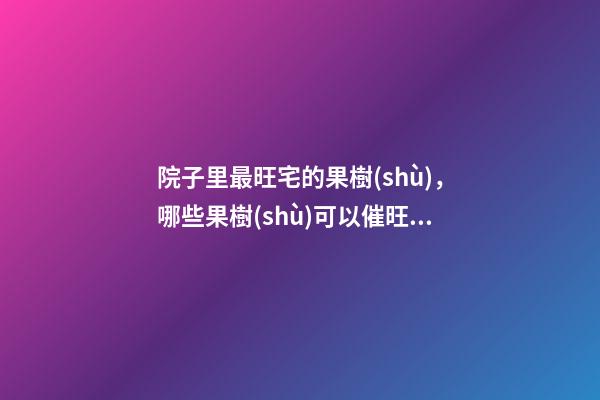 院子里最旺宅的果樹(shù)，哪些果樹(shù)可以催旺家宅運(yùn)勢(shì)