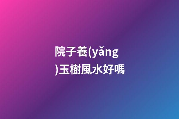 院子養(yǎng)玉樹風水好嗎