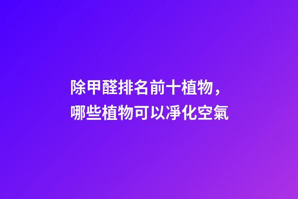 除甲醛排名前十植物，哪些植物可以凈化空氣