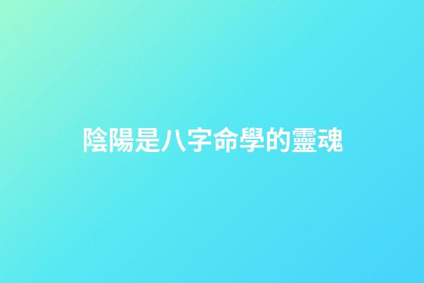 陰陽是八字命學的靈魂