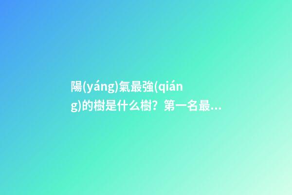 陽(yáng)氣最強(qiáng)的樹是什么樹？第一名最為常見