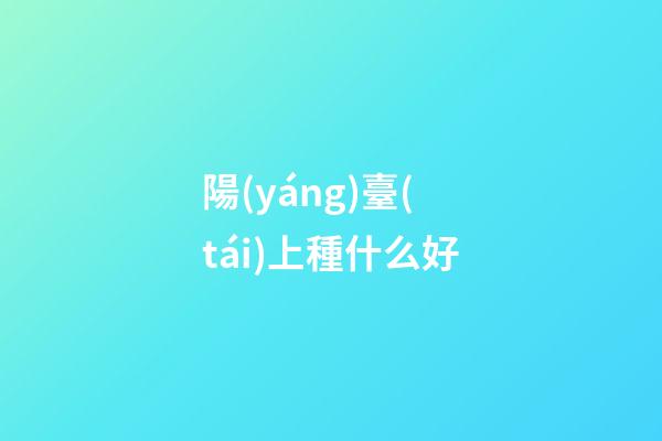 陽(yáng)臺(tái)上種什么好