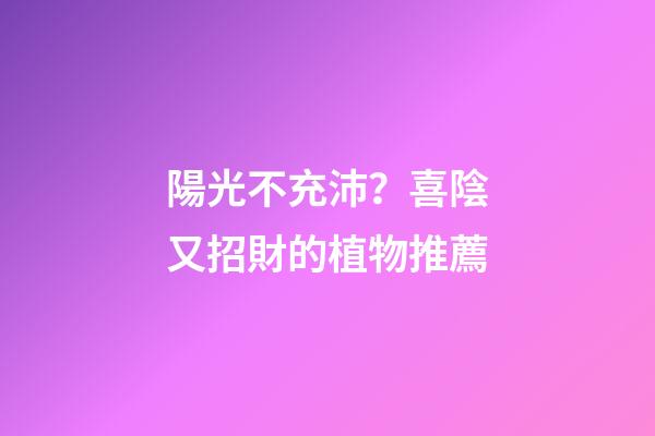 陽光不充沛？喜陰又招財的植物推薦