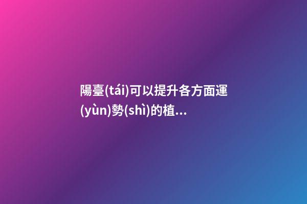 陽臺(tái)可以提升各方面運(yùn)勢(shì)的植物