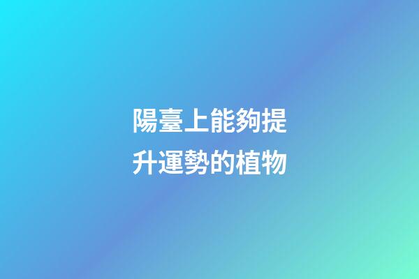 陽臺上能夠提升運勢的植物