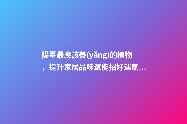 陽臺最應該養(yǎng)的植物，提升家居品味還能招好運氣、阻隔不良氣場