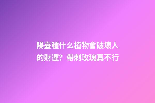 陽臺種什么植物會破壞人的財運？帶刺玫瑰真不行