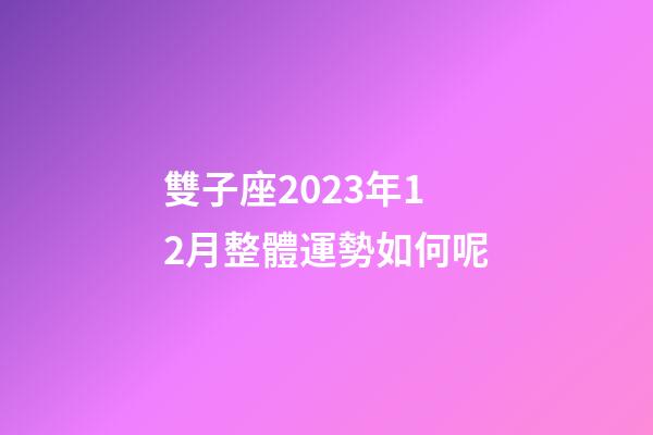 雙子座2023年12月整體運勢如何呢-第1張-星座運勢-玄機(jī)派