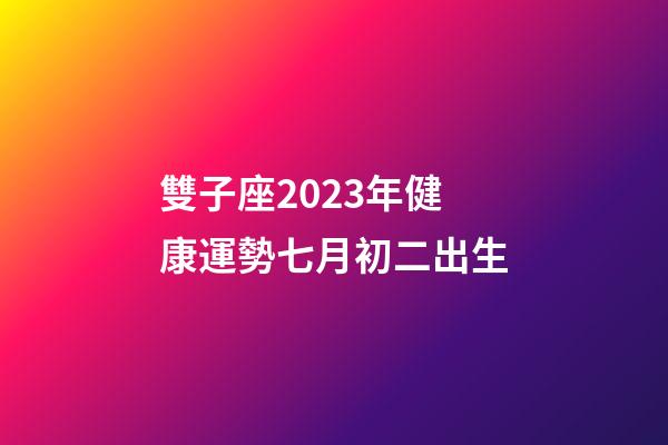 雙子座2023年健康運勢七月初二出生-第1張-星座運勢-玄機派
