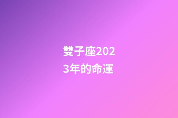 雙子座2023年的命運-第1張-星座運勢-玄機派