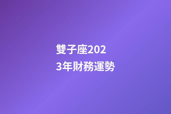 雙子座2023年財務運勢-第1張-星座運勢-玄機派