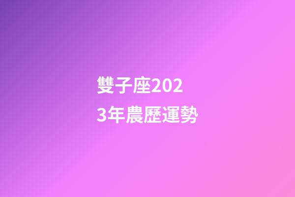 雙子座2023年農歷運勢-第1張-星座運勢-玄機派