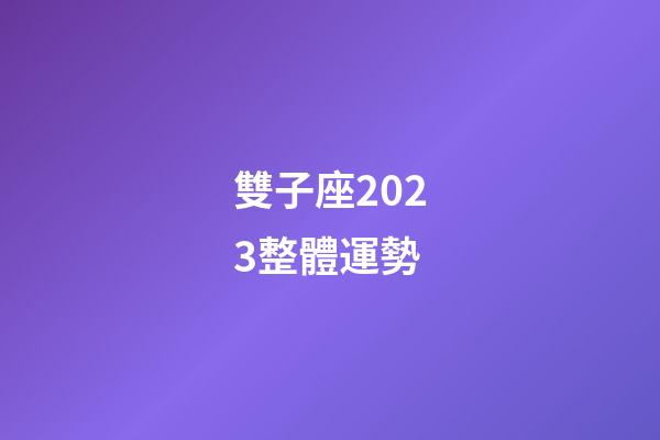 雙子座2023整體運勢-第1張-星座運勢-玄機派