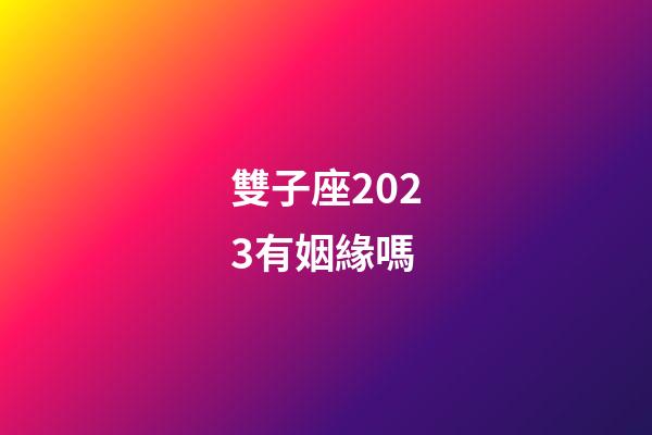 雙子座2023有姻緣嗎-第1張-星座運勢-玄機派