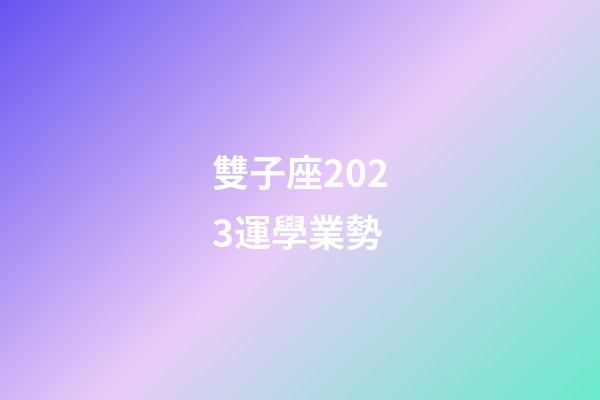 雙子座2023運學業勢-第1張-星座運勢-玄機派