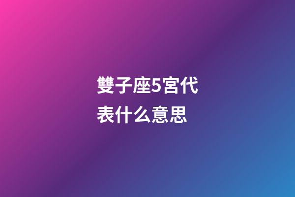 雙子座5宮代表什么意思-第1張-星座運勢-玄機派