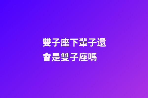 雙子座下輩子還會是雙子座嗎-第1張-星座運勢-玄機派