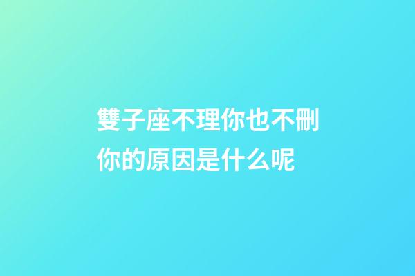 雙子座不理你也不刪你的原因是什么呢-第1張-星座運勢-玄機派