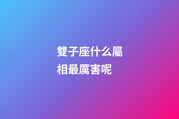 雙子座什么屬相最厲害呢-第1張-星座運勢-玄機派
