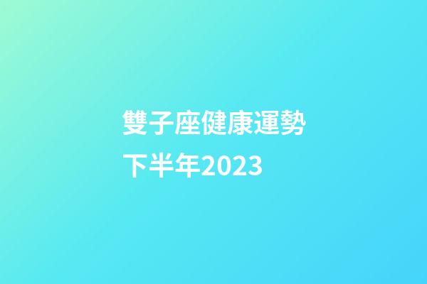 雙子座健康運勢下半年2023-第1張-星座運勢-玄機派