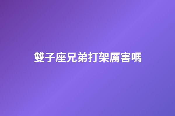 雙子座兄弟打架厲害嗎-第1張-星座運勢-玄機派