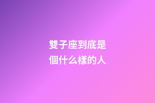 雙子座到底是個什么樣的人-第1張-星座運勢-玄機派
