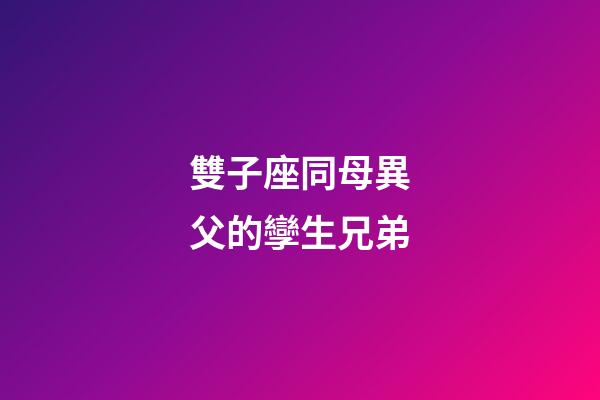 雙子座同母異父的孿生兄弟-第1張-星座運勢-玄機派