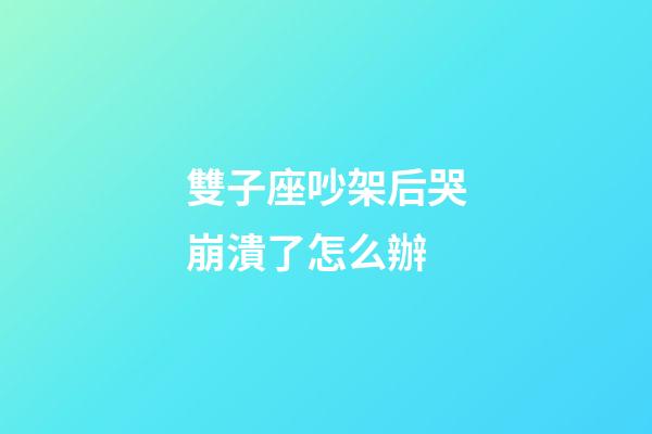 雙子座吵架后哭崩潰了怎么辦-第1張-星座運勢-玄機派