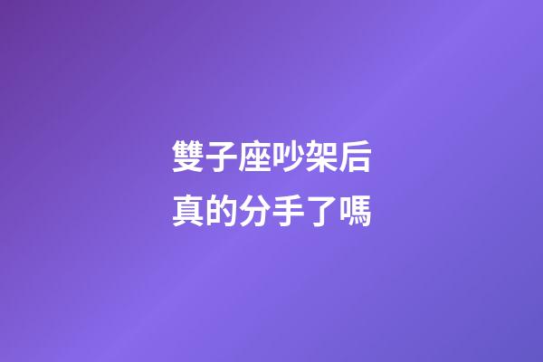 雙子座吵架后真的分手了嗎-第1張-星座運勢-玄機派