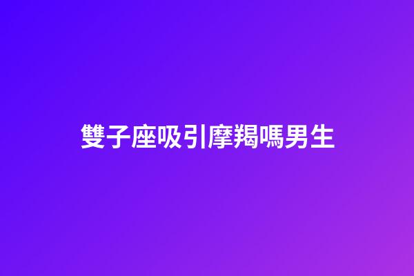 雙子座吸引摩羯嗎男生-第1張-星座運勢-玄機派