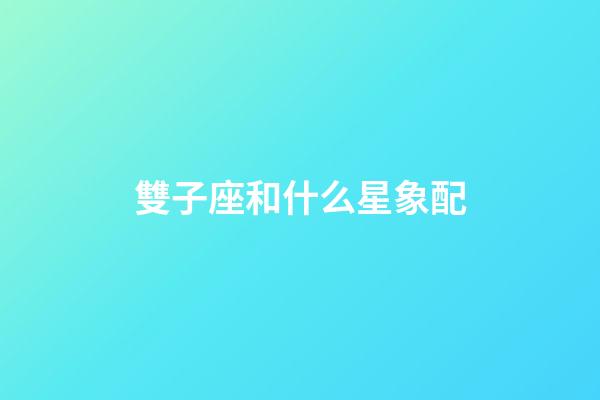 雙子座和什么星象配-第1張-星座運(yùn)勢(shì)-玄機(jī)派